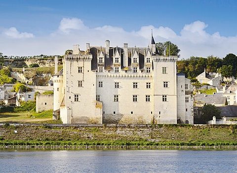 Château de Montsoreau, B-tier castle in France