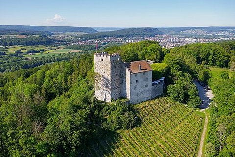 Habsburg Castle, C-tier castle in Switzerland