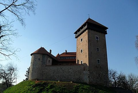 Dubovac Castle, C-tier castle in Croatia