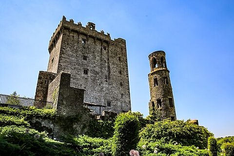 Blarney Castle, C-tier castle in Ireland